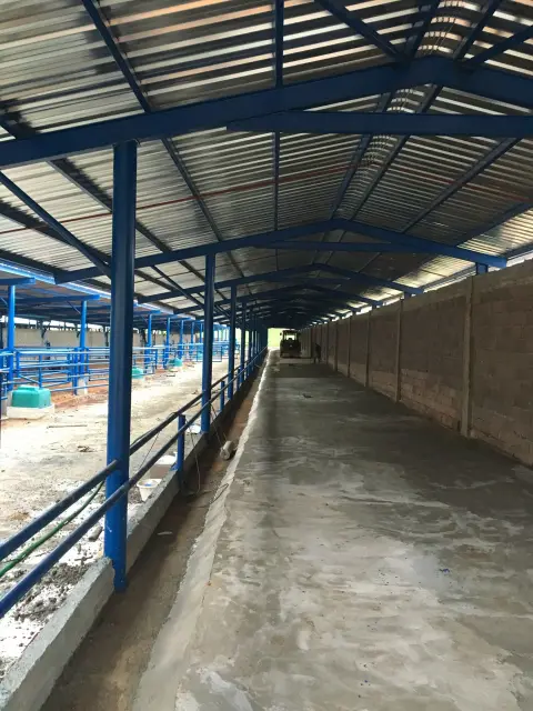 Hayvan Damı