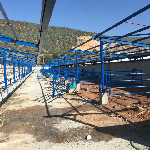 Hayvan Damı